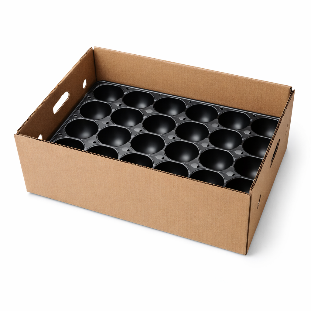 Cardboard box with black round inserts inside on a white background